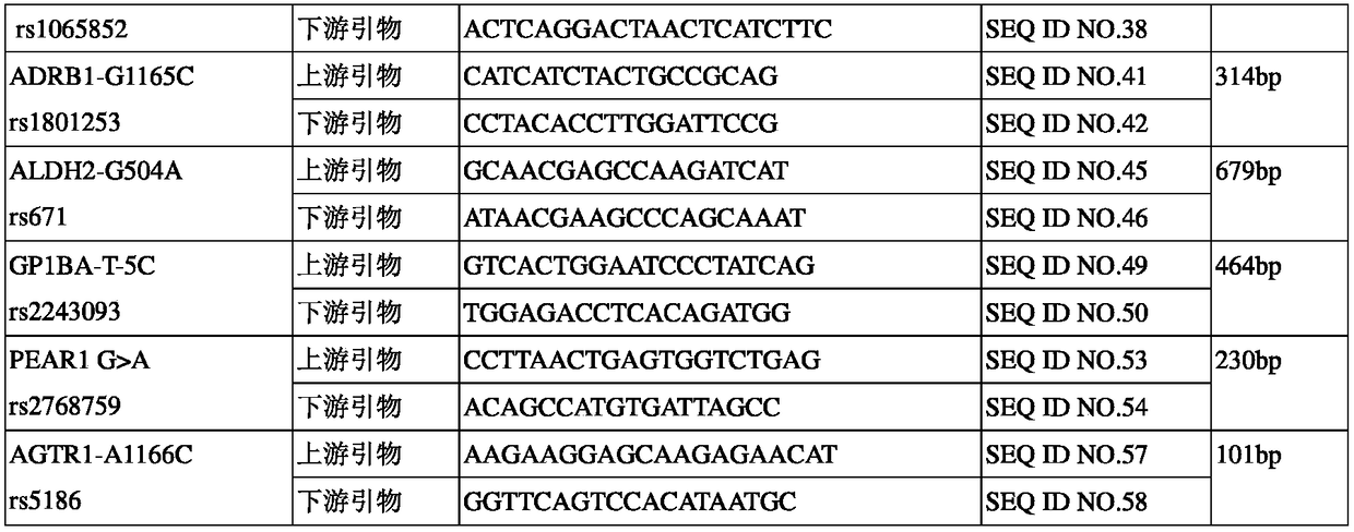 Specific primer and kit for detecting gene polymorphism of cardiovascular disease drugs by virtue of liquid-phase chip technique