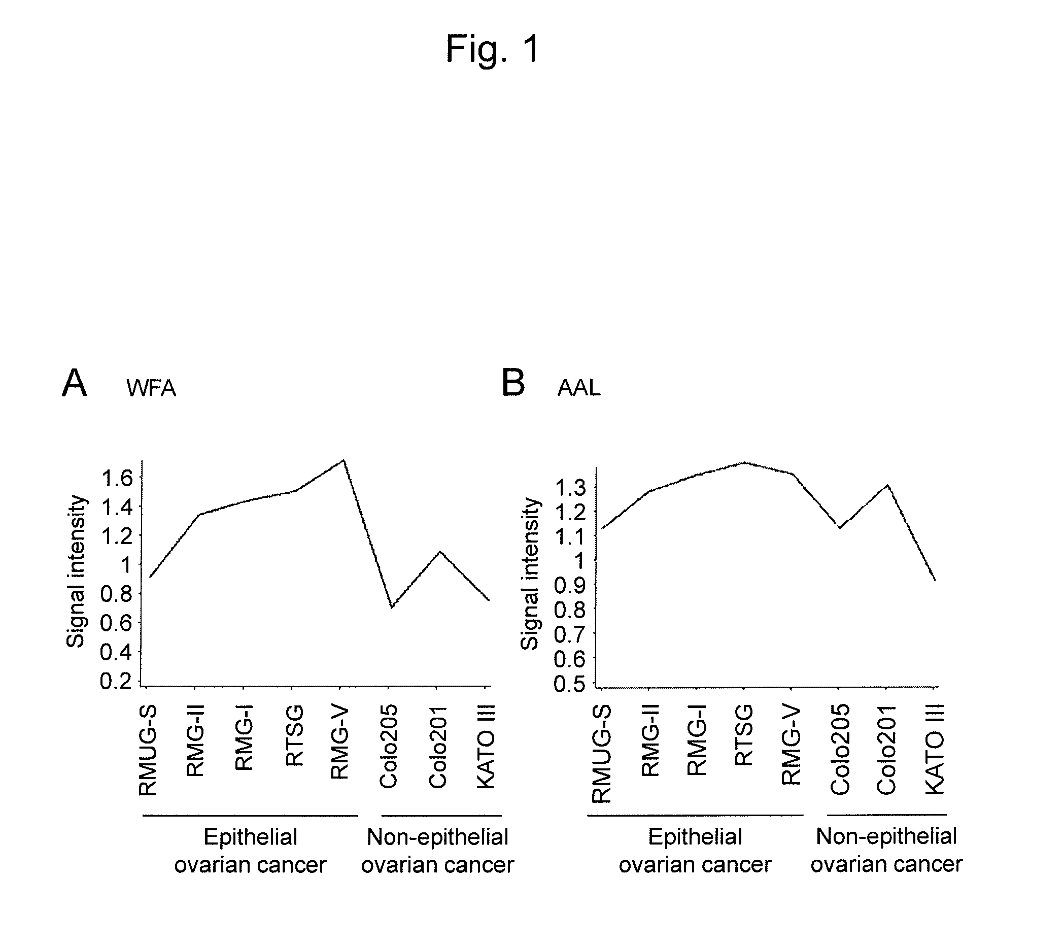 Epithelial ovarian cancer differentiation marker