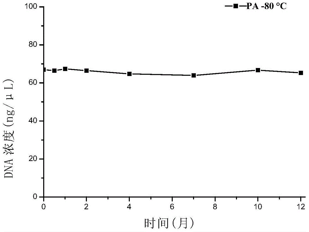 Polynucleotide, method and kit for detecting Bacillus anthraci