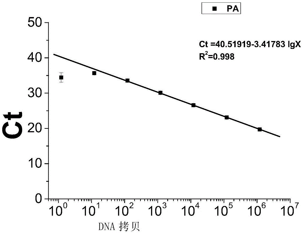 Polynucleotide, method and kit for detecting Bacillus anthraci