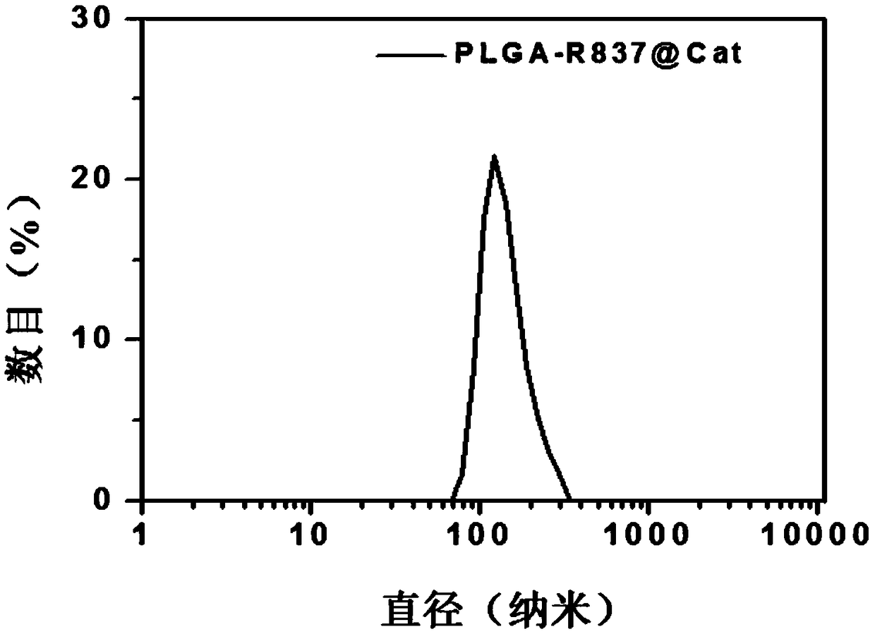 Polymer nano adjuvant as well as preparation method and application thereof