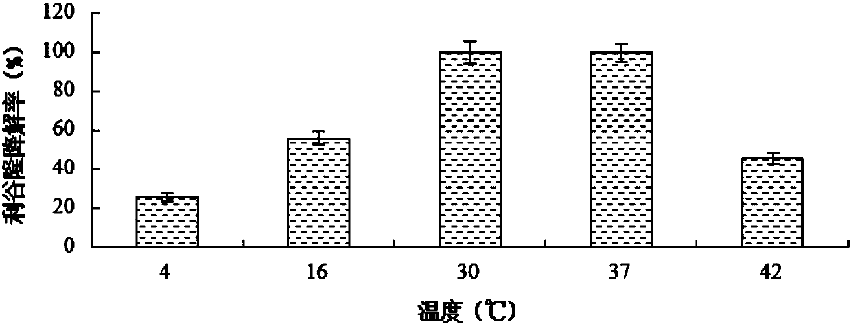 A kind of substituted urea herbicide residue degrading bacterial strain and its production