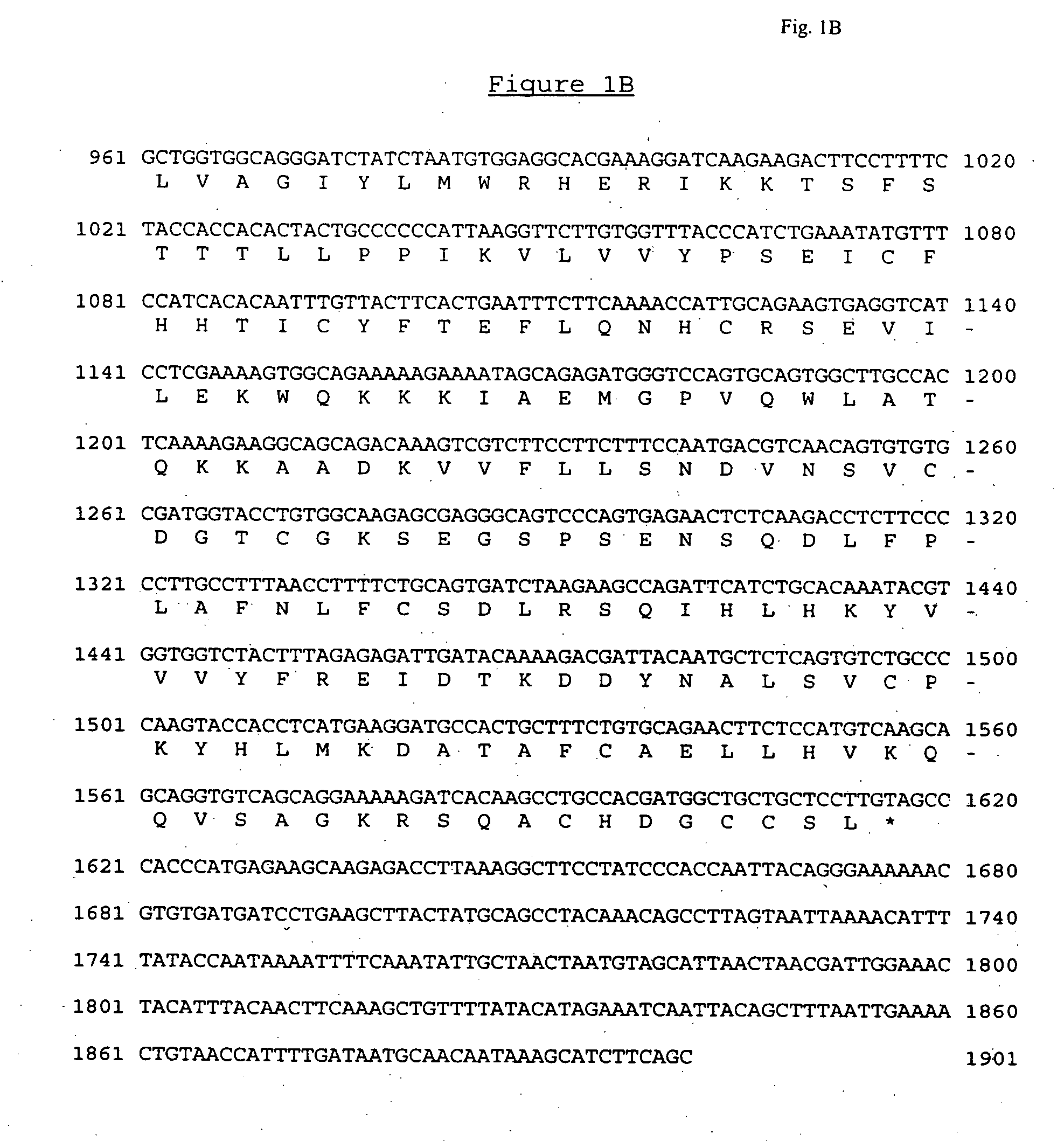 IL-receptor like molecules and uses thereof