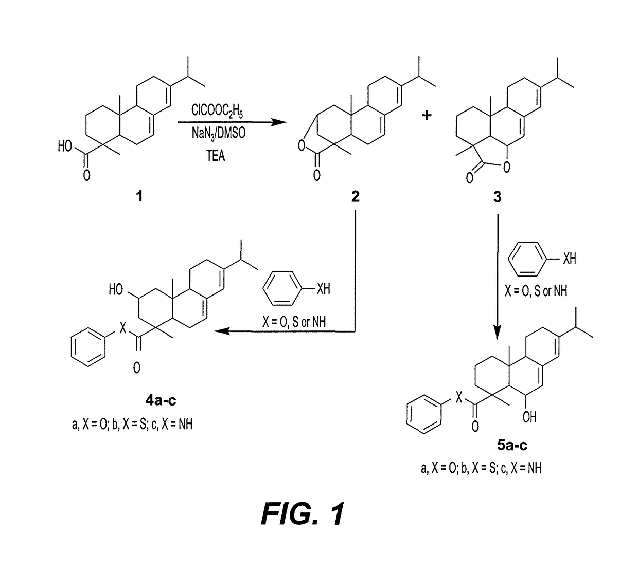 Abietic acid derivatives as anti-tumor agents