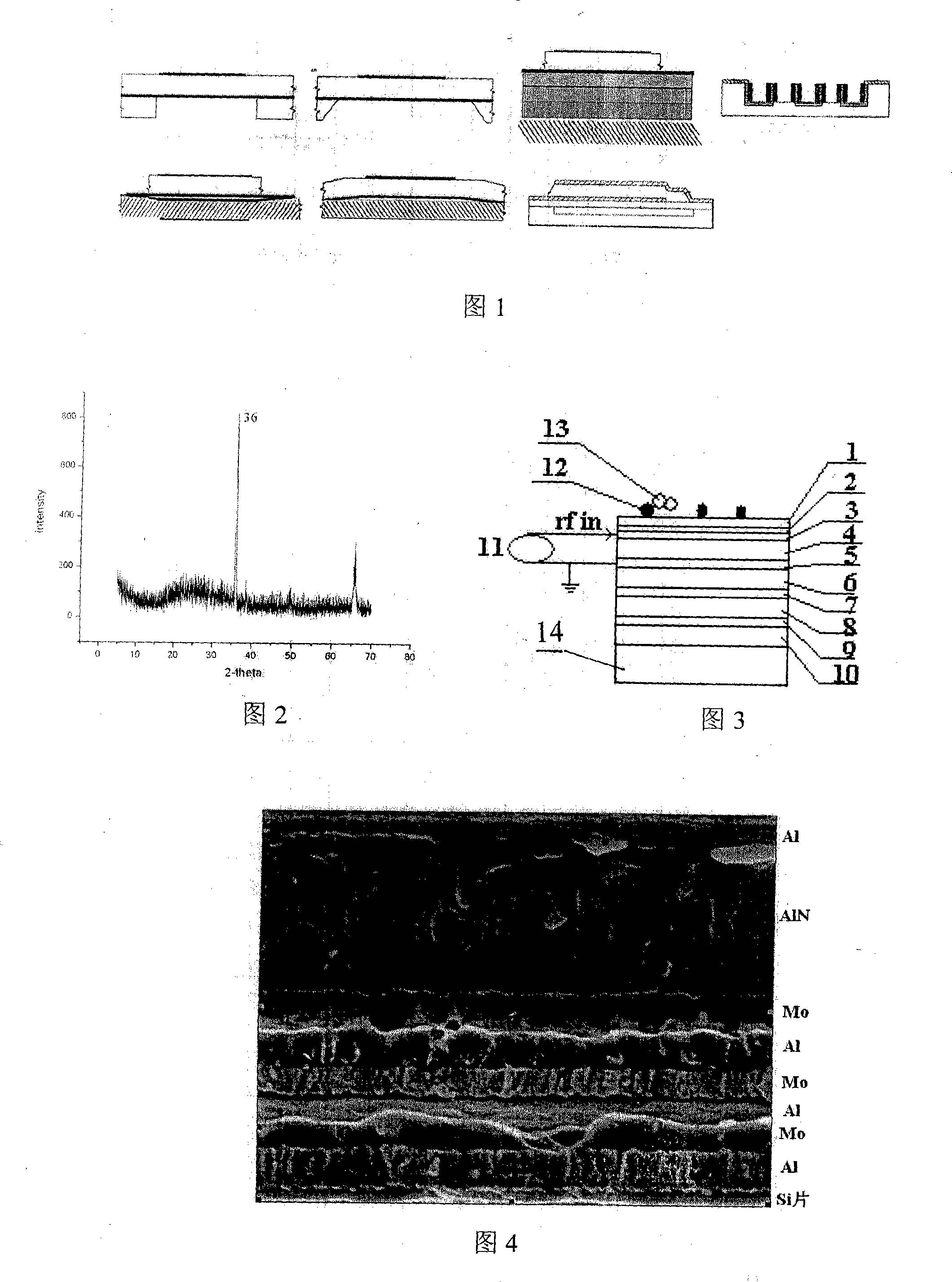 Immune body detecting biochip using piezo-electricity thin film acoustic wave device