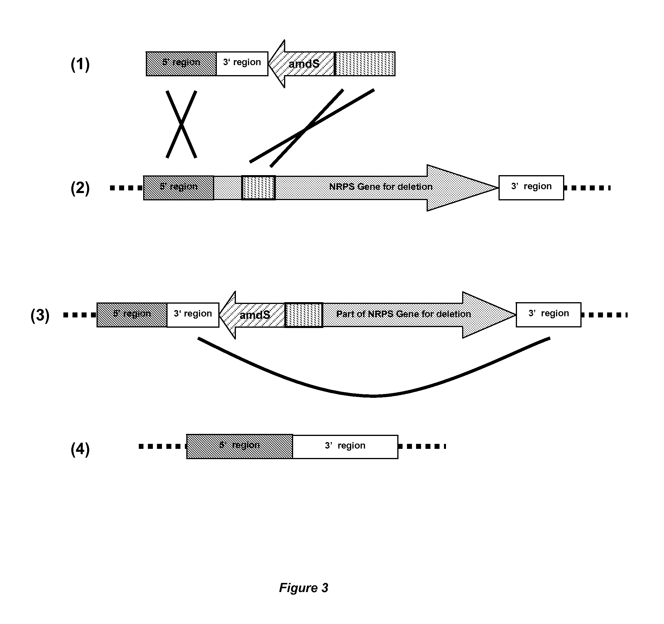 Method for the production of a compound of interest