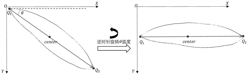 Plant species identification method and system, electronic equipment and storage medium