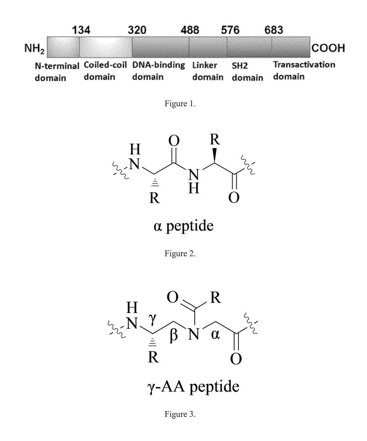 Gamma-AA-peptide STAT3/DNA inhibitors and methods of use