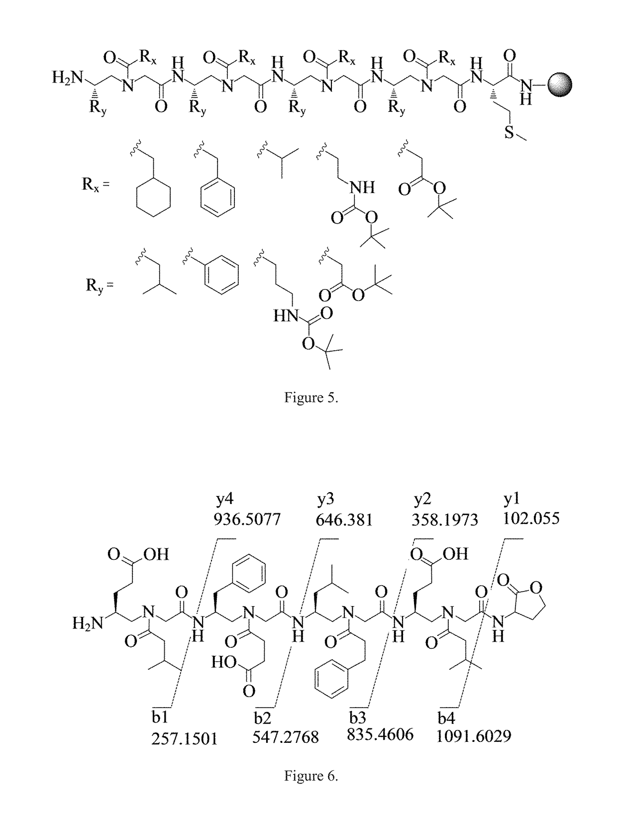 Gamma-AA-peptide STAT3/DNA inhibitors and methods of use