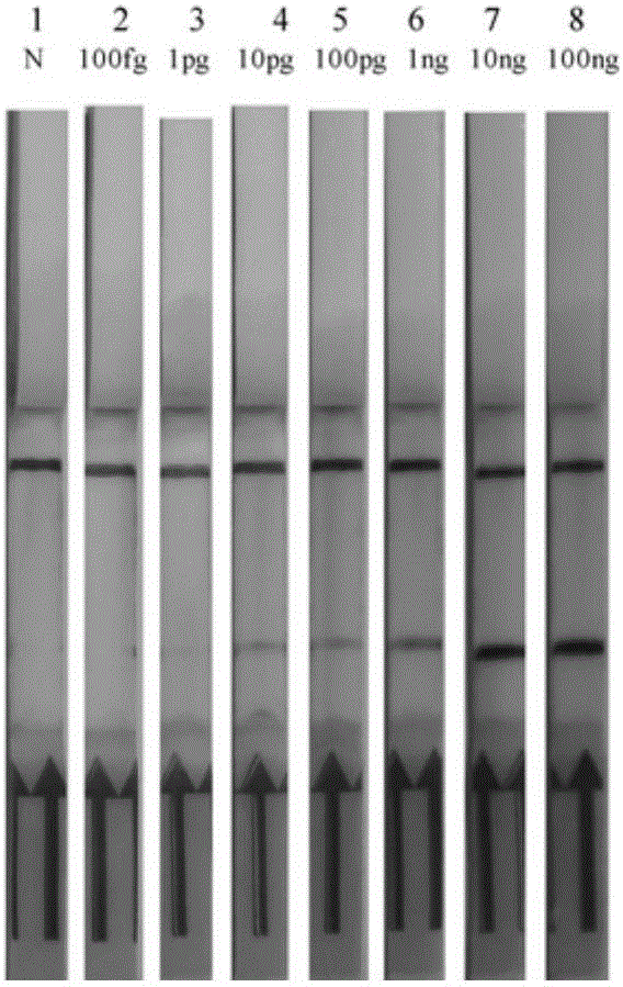 Detecting method for food-borne pathogenic bacteria listeria monocytogenes