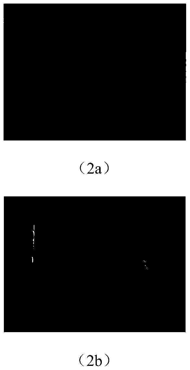 6D pose estimation method based on an instance segmentation network and iterative optimization