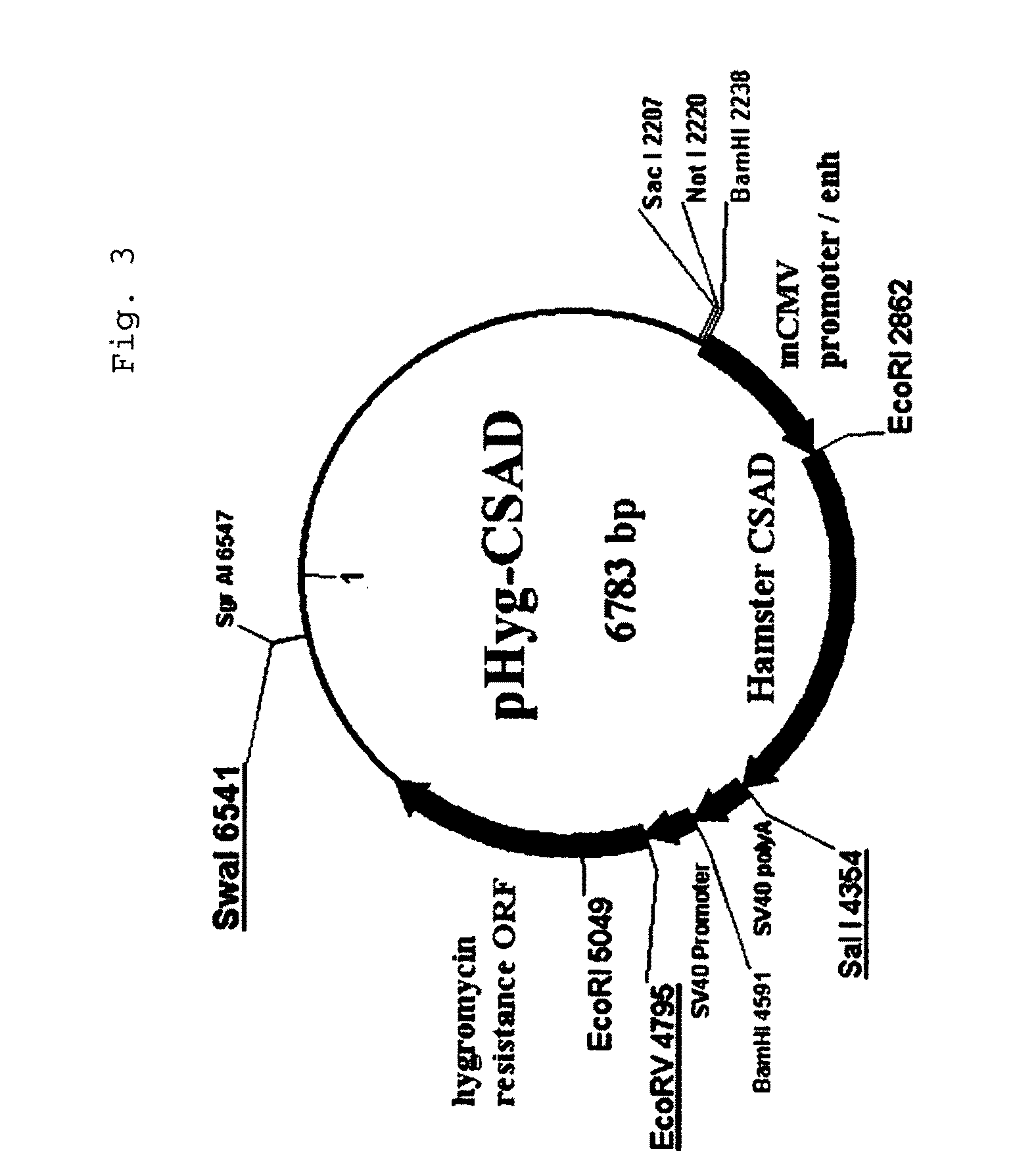 Method for production of polypeptide