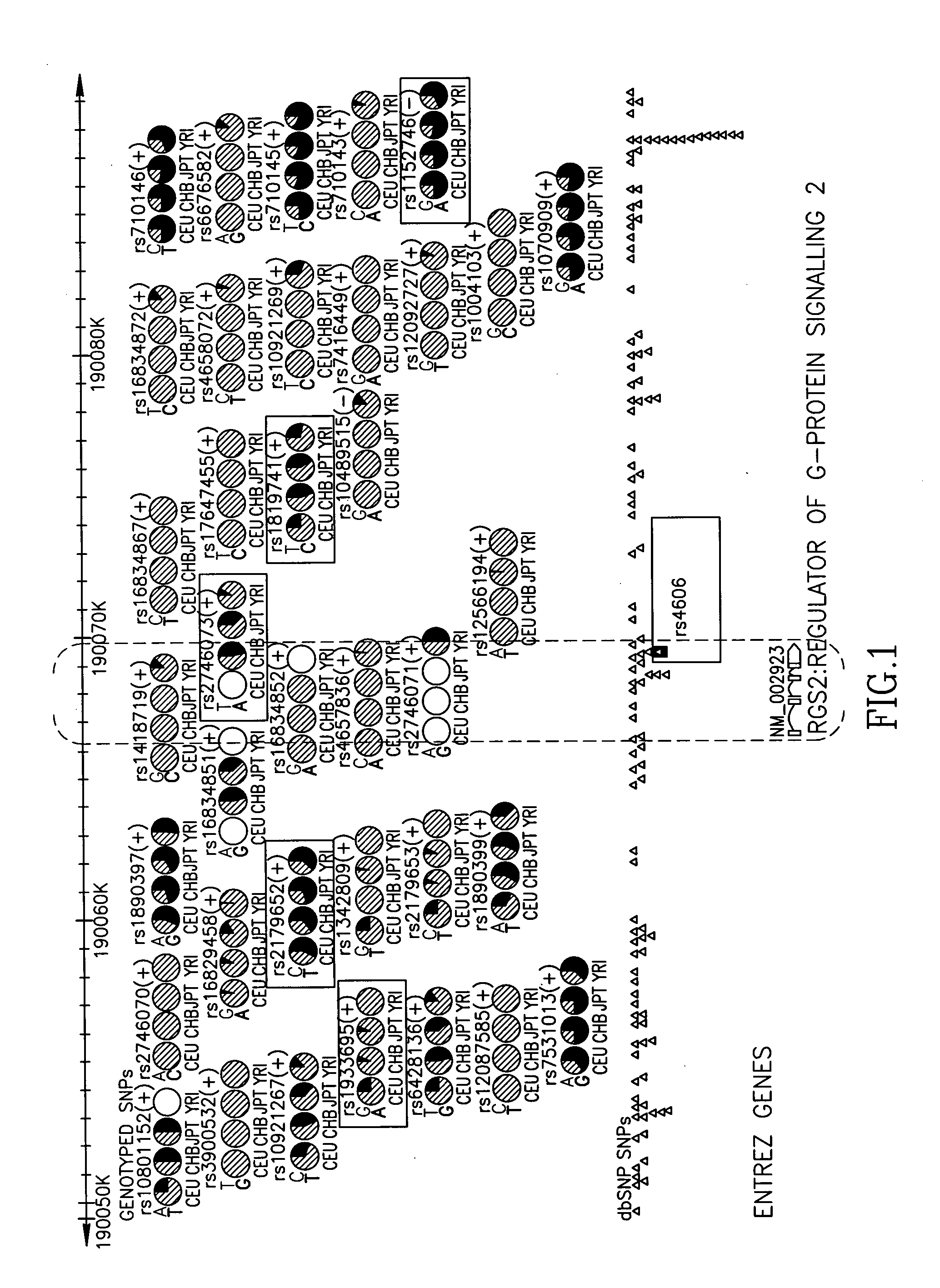 Rgs2 genotypes associated with extrapyramidal symptoms induced by antipsychotic medication