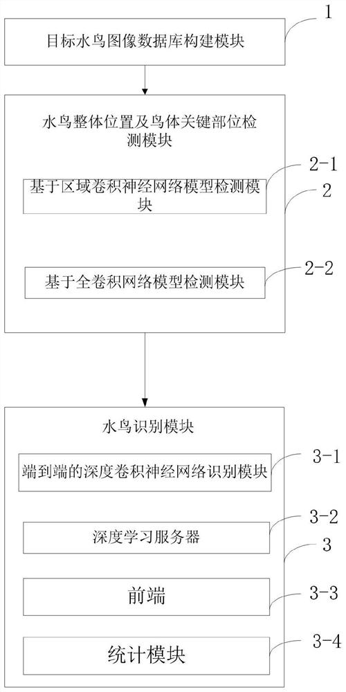 Island coastal wetland waterfowl identification method, distribution query system and medium