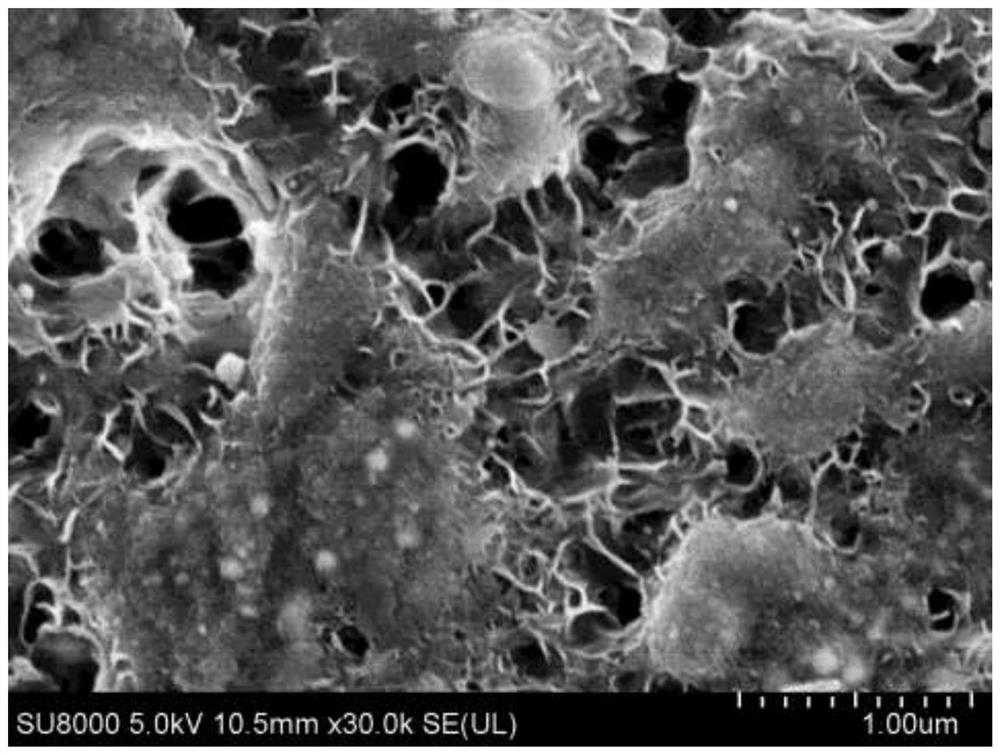 A kind of ru/mgo catalyst and its preparation method and application