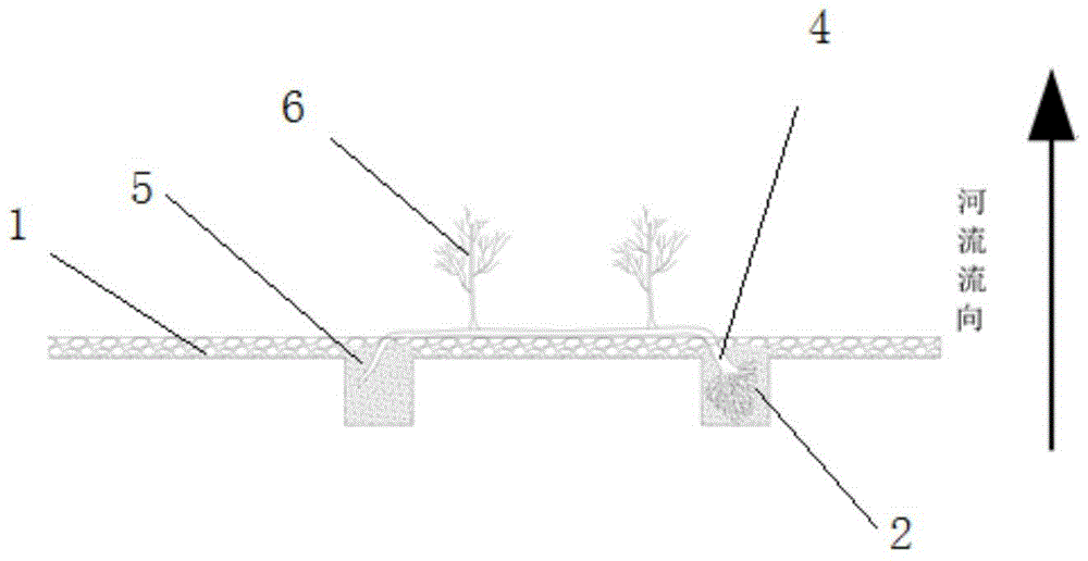 A planting method of vegetation in the riparian ecotone