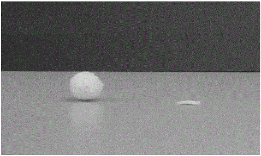 Method for preparing bacterial cellulose/NBSK (Northern Bleached Softwood Kraft) aerogel spheres under assistance of cation solution