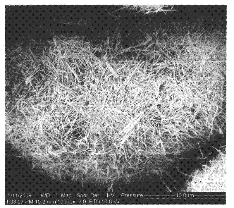 Synthesis method of nano fibrous mordenite