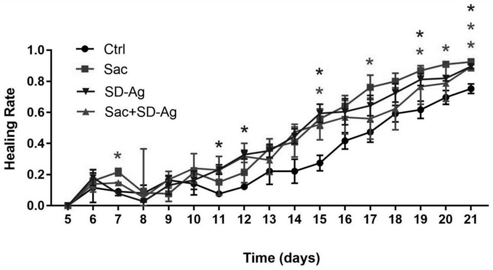 Application of aphanothece sacrum polysaccharide in preparation of medicine for treating scalds