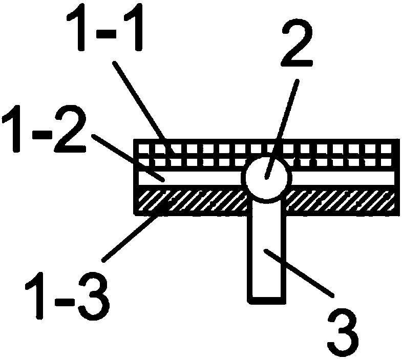 Monitoring rain shield