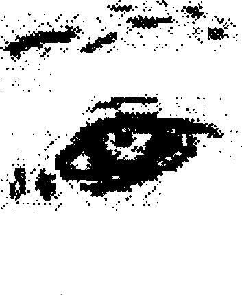 Human eye detecting method and apparatus