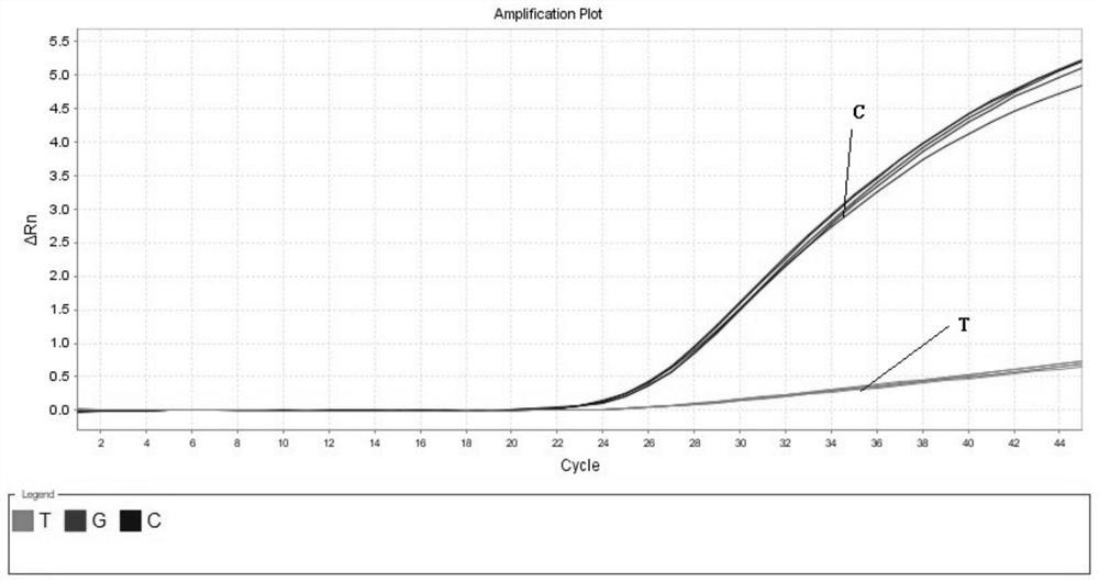 Primer and probe composition and kit for detecting achondroplasia related FGFR3 gene variation sites