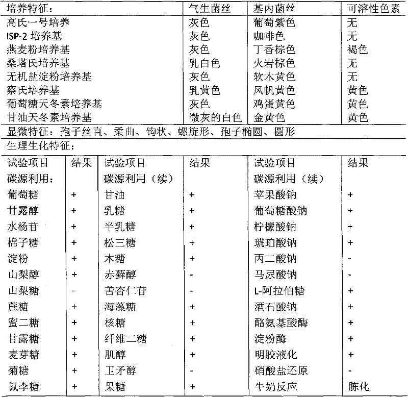 Streptomyces corchorusii strain NF0919, purpose and preparation method of active zymotic fluid thereof