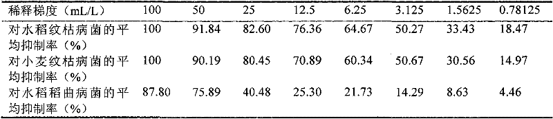 Streptomyces corchorusii strain NF0919, purpose and preparation method of active zymotic fluid thereof