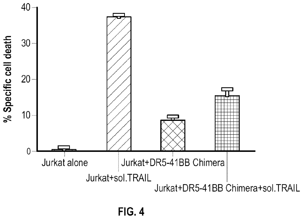 Modified immune effector cells with increased resistance to cell death