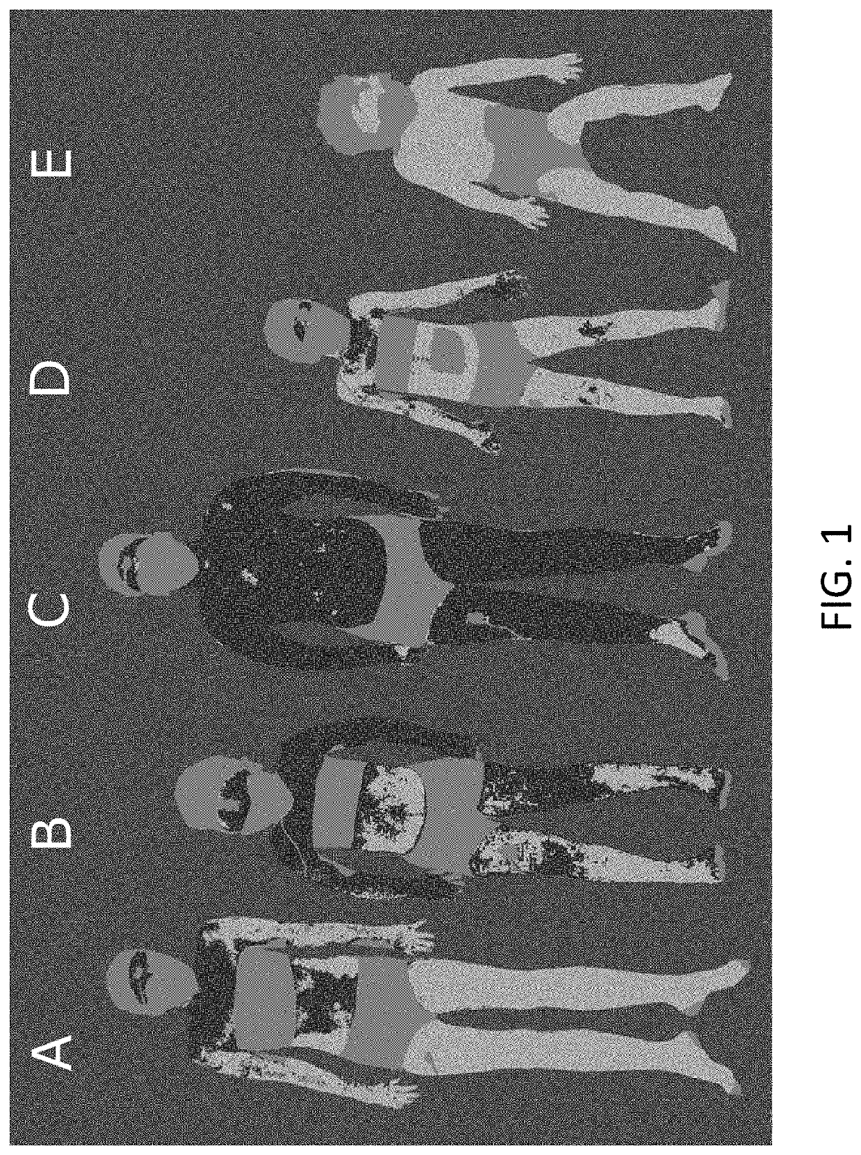 Systems and methods for thermoregulatory sweat testing