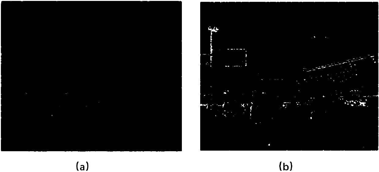 Shared k-SVD dictionary-based DVS visual video denoising method