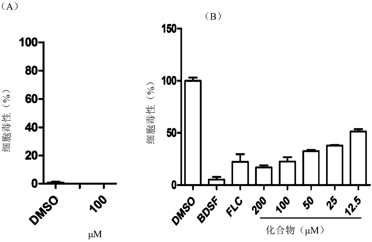 Application of Heterophyllin B to anti-candida-albicans drug preparing