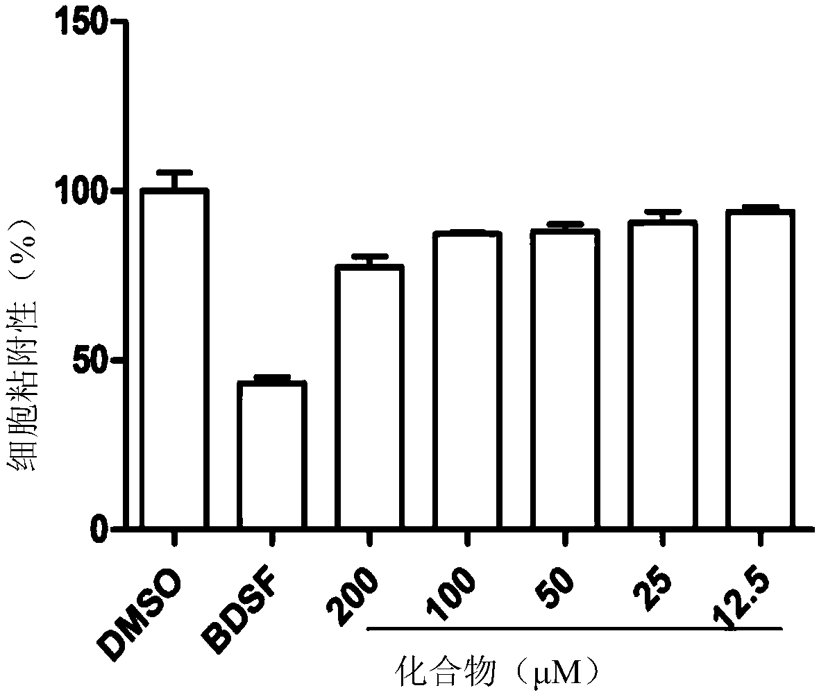 Application of Heterophyllin B to anti-candida-albicans drug preparing