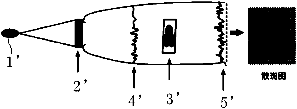 X-ray speckle detecting device and methods based on synchrotron radiation light source