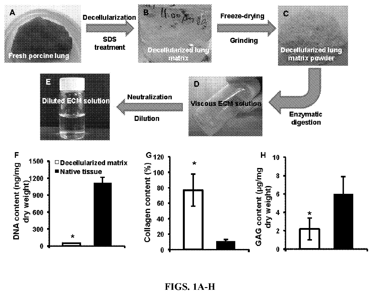 Nanoparticles containing extracellular matrix for drug delivery