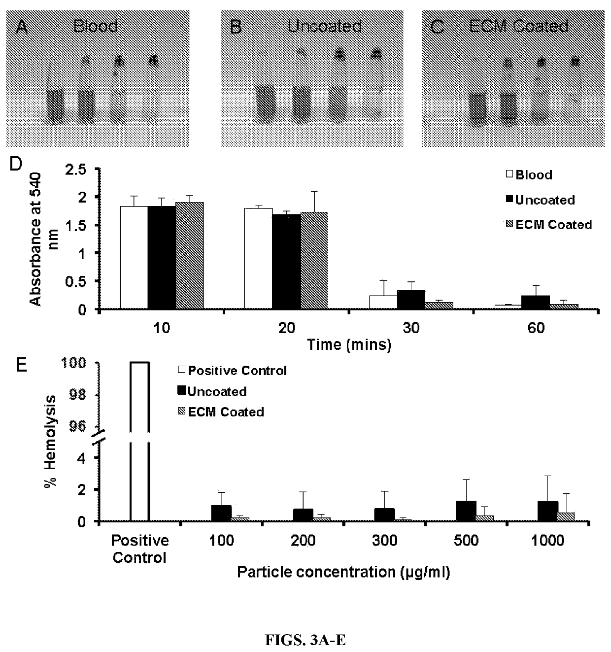 Nanoparticles containing extracellular matrix for drug delivery