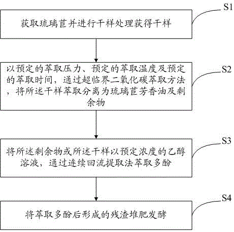 Bourrache officinale deep processing method and deep processing product thereof