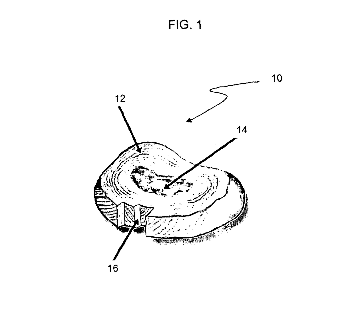 Tissue visualization and modification device