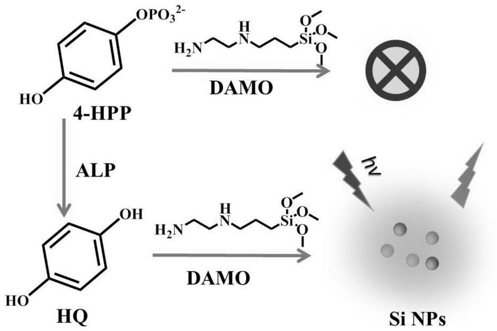 A kind of fluorescent detection method of alkaline phosphatase activity