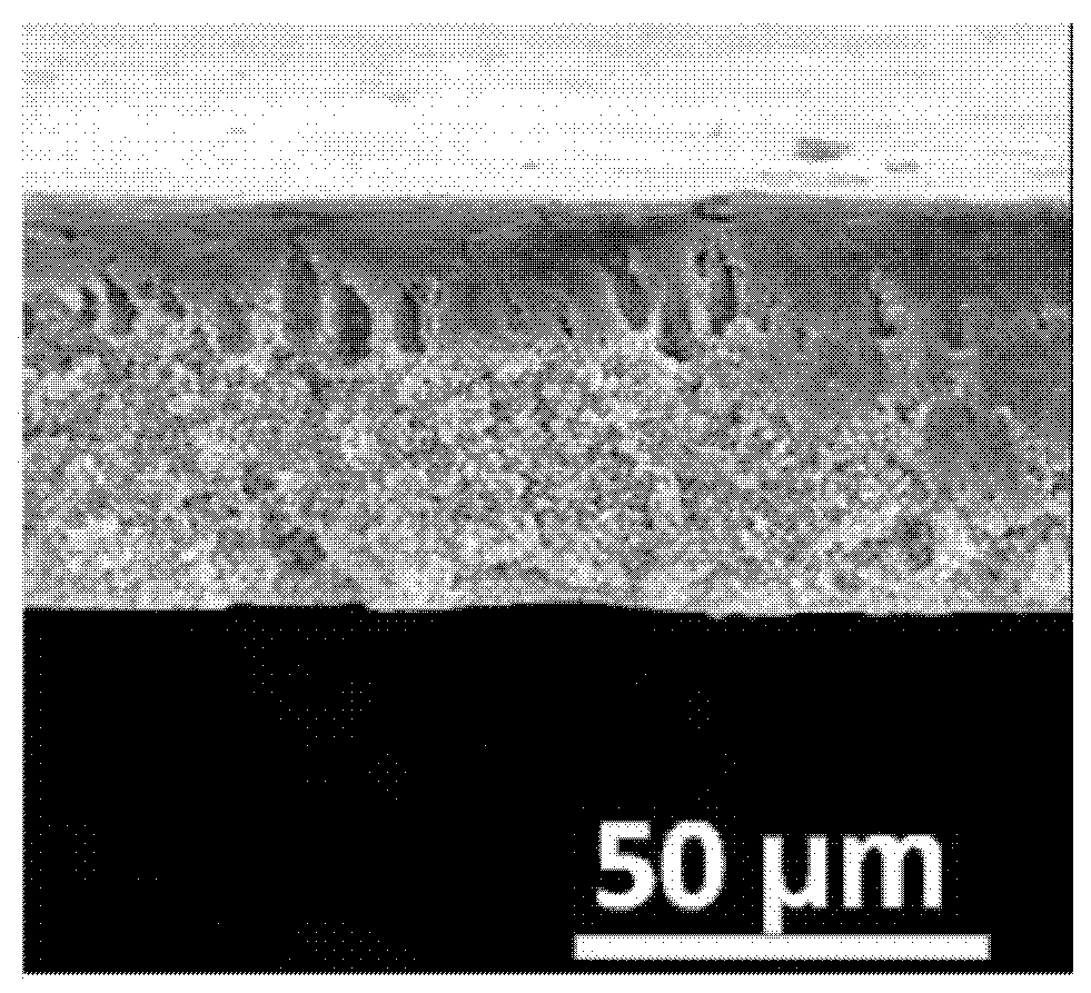 Method for preparing nano-material-doped polymer film