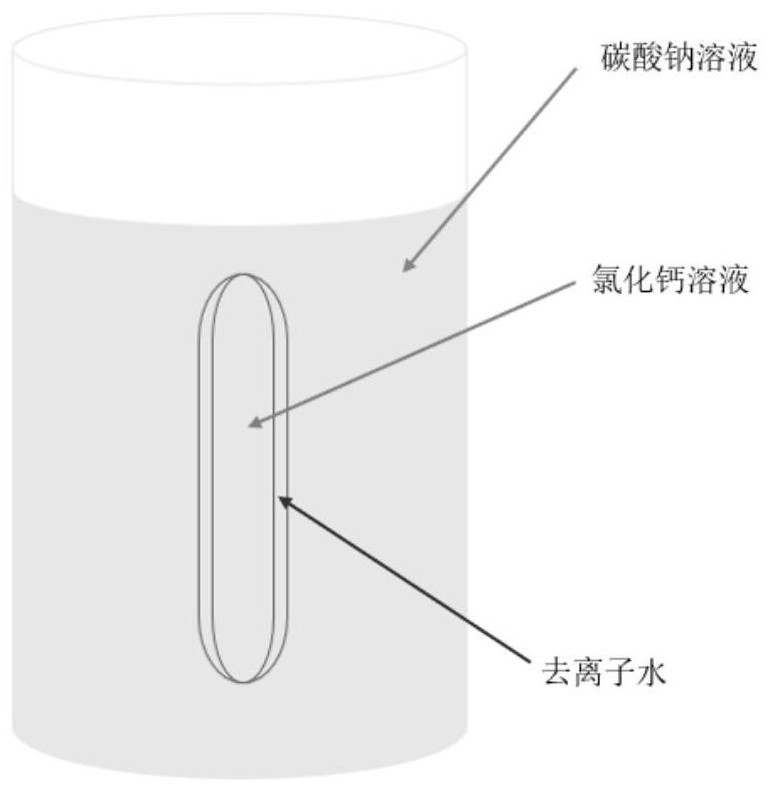 Preparation method of calcium carbonate nano-drug