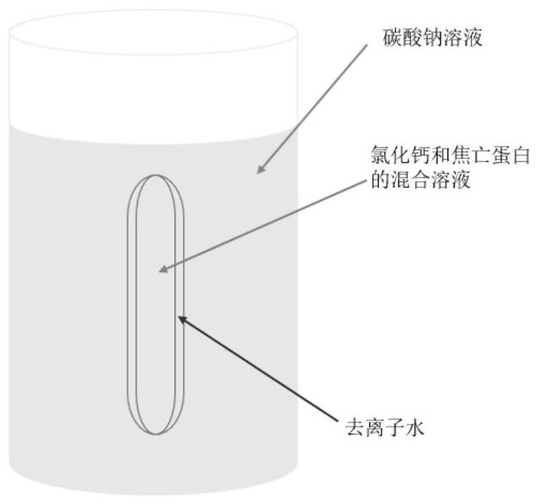 Preparation method of calcium carbonate nano-drug