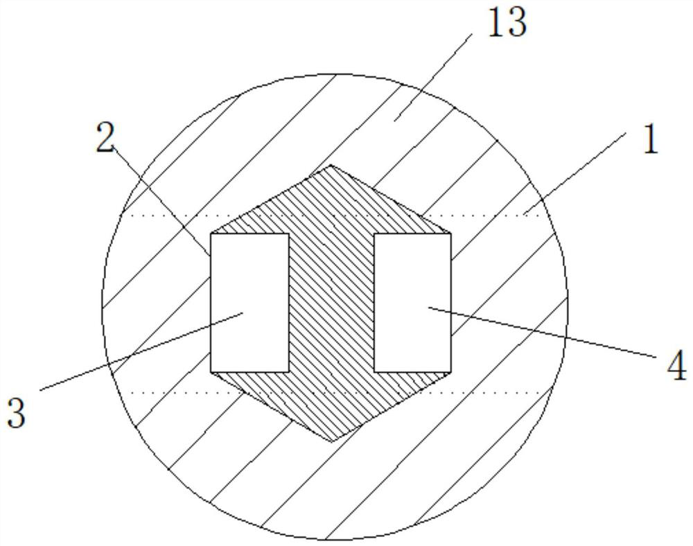 High-purity magnesium strip line anchor and implanting device thereof