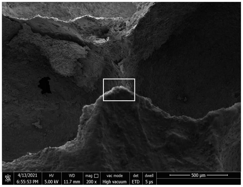 Polymer-based high-thermal-conductivity material and preparation process thereof