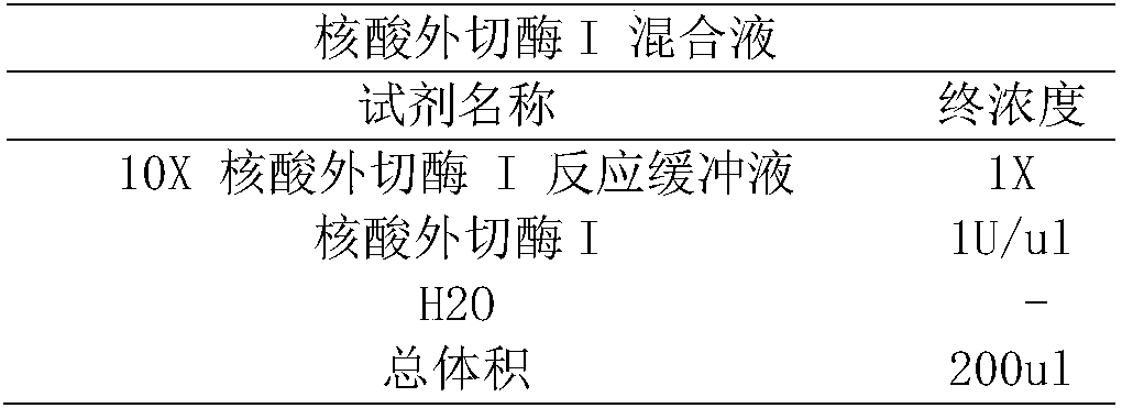 Method for detecting 3'-5' exo-activity of specific base by nuclease and kit thereof