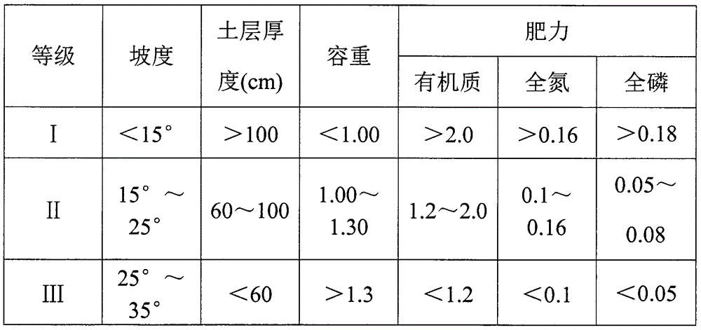 Land preparation method for efficient survival of camellia oleifera forest