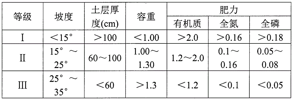 Land preparation method for efficient survival of camellia oleifera forest