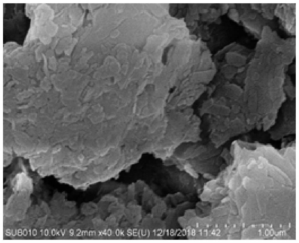 Dynamic preparation method of nascent-state nanometer layered manganese catalyst and application in enhanced oxidation filtration