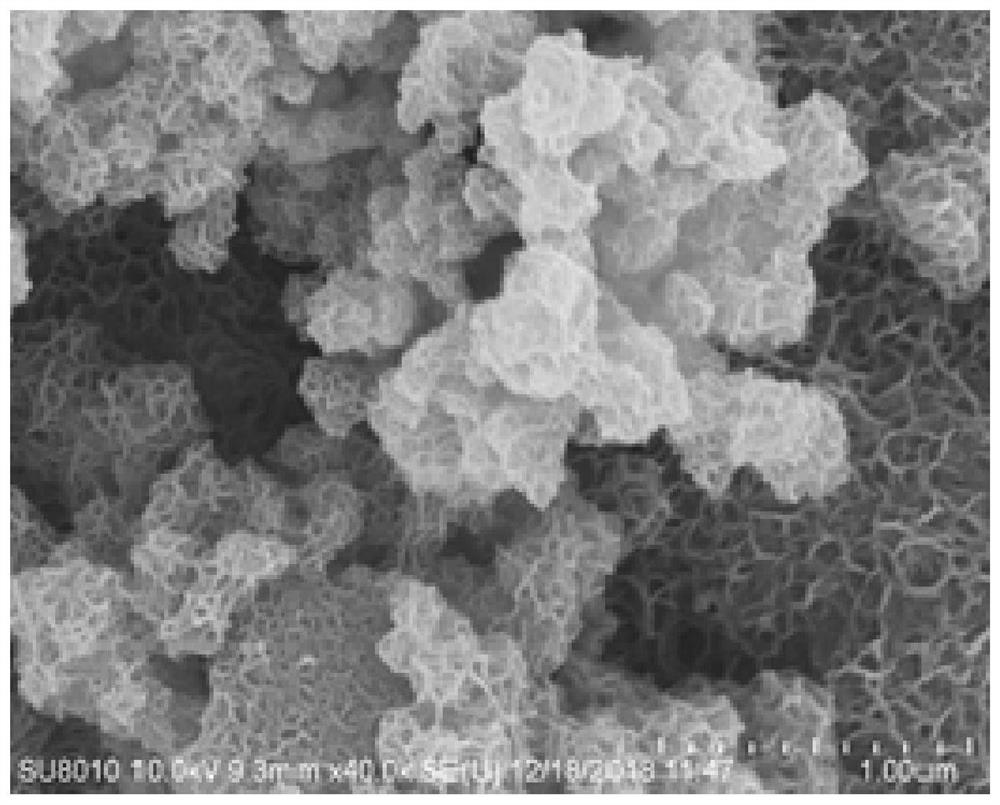 Dynamic preparation method of nascent-state nanometer layered manganese catalyst and application in enhanced oxidation filtration