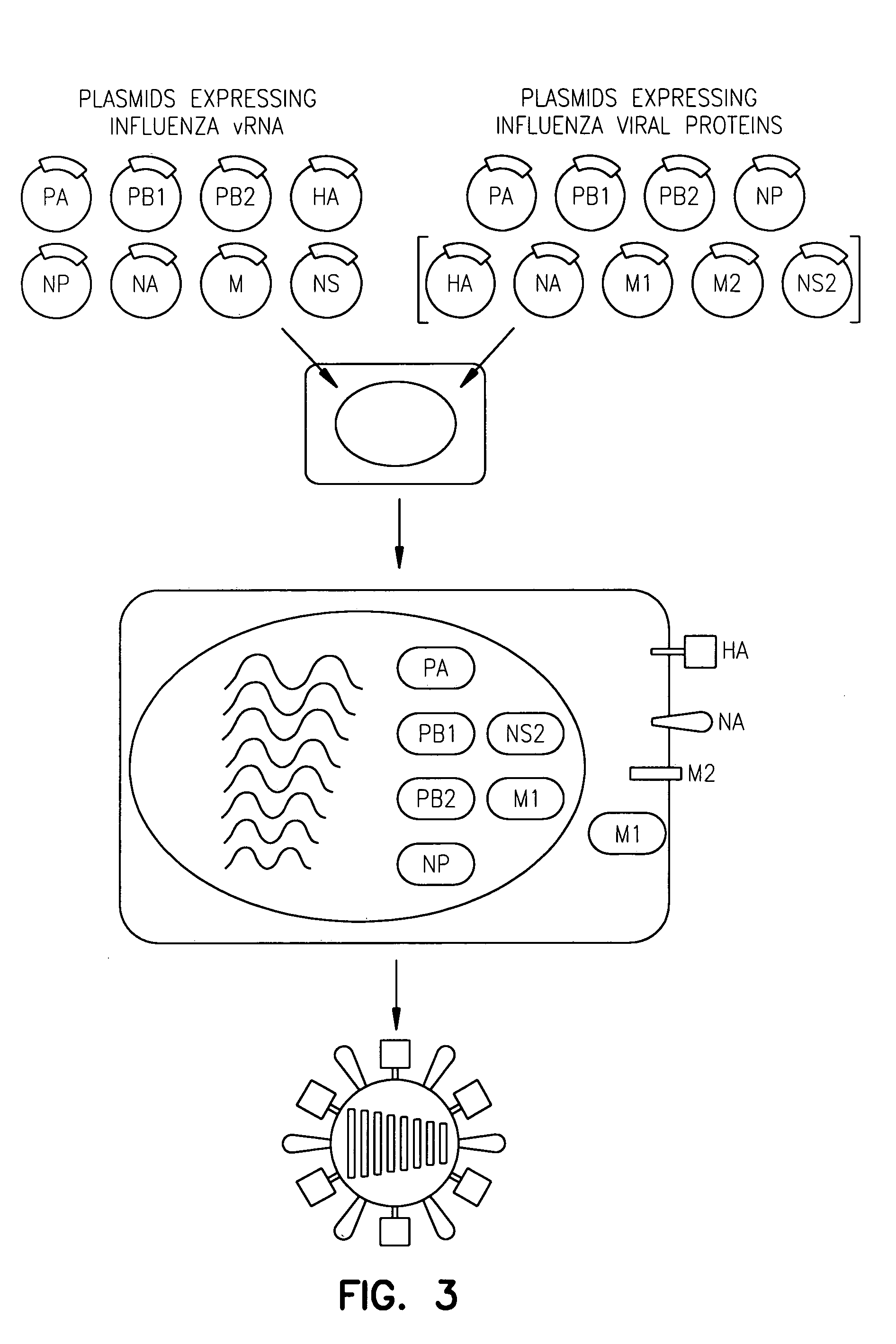 Viruses comprising mutant ion channel protein